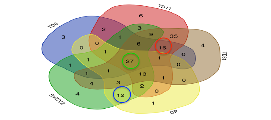 Graphic of research data