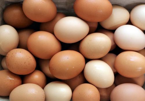 egg