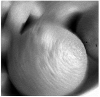 Long Exposure Orange