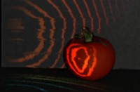 femto photography tomato